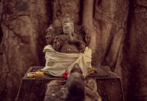பேரொளியின் கனல் மொழி