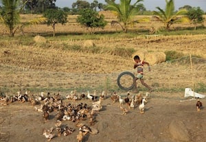 பேரொளியின் கனல் மொழி