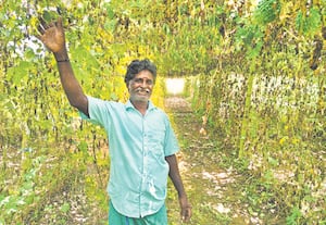 நிலமும் நானும்