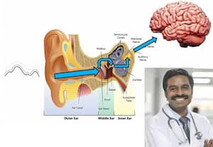 காதில் இருந்து திரவம் வந்தால் மூளைக்கு ஆபத்து வரலாம்