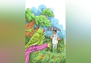 சோளக்காட்டு பொம்மை!