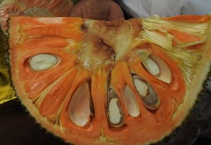 நம்மூரிலும் சாகுபடியாகும் கம்போடியா ஆரஞ்சு நிற பலா