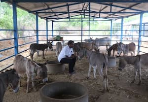 திருக்குறள்: குறள் சொல்லும் குரல்