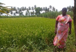 செலவை குறைத்தால் வயலும் வசமாகும்