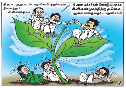 today cartoon