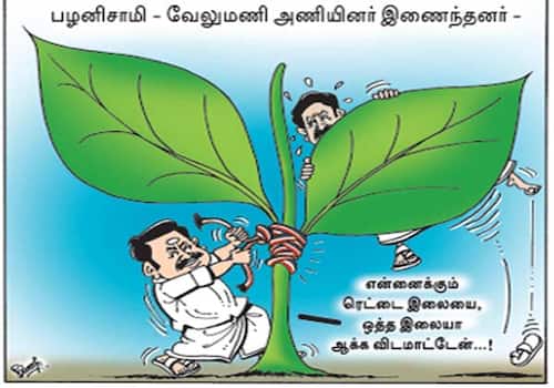 today cartoon